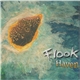 Flook - Haven